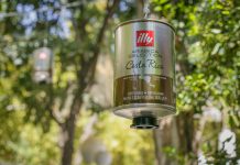 Το νέο illy single origin Costa Rica ήρθε στην Ελλάδα, μέσα από ένα απολαυστικό γαστρονομικό ταξίδι!
