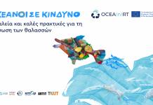 Ωκεανοί σε κίνδυνο: εργαλεία και καλές πρακτικές για τη διάσωση των θαλασσών