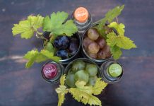 Ξεκίνησε η αποστακτική περίοδος: Το τσίπουρο Δεκαράκι ξανά στο επίκεντρο