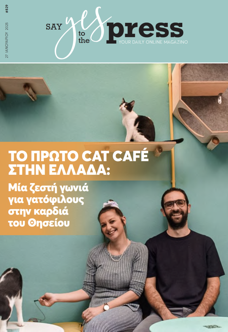 Το πρώτο Cat Café στην Ελλάδα: Μία ζεστή γωνιά για γατόφιλους στην καρδιά του Θησείου