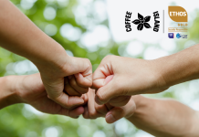 Η Coffee Island πιστοποιήθηκε με το Σήμα ETHOS GOLD