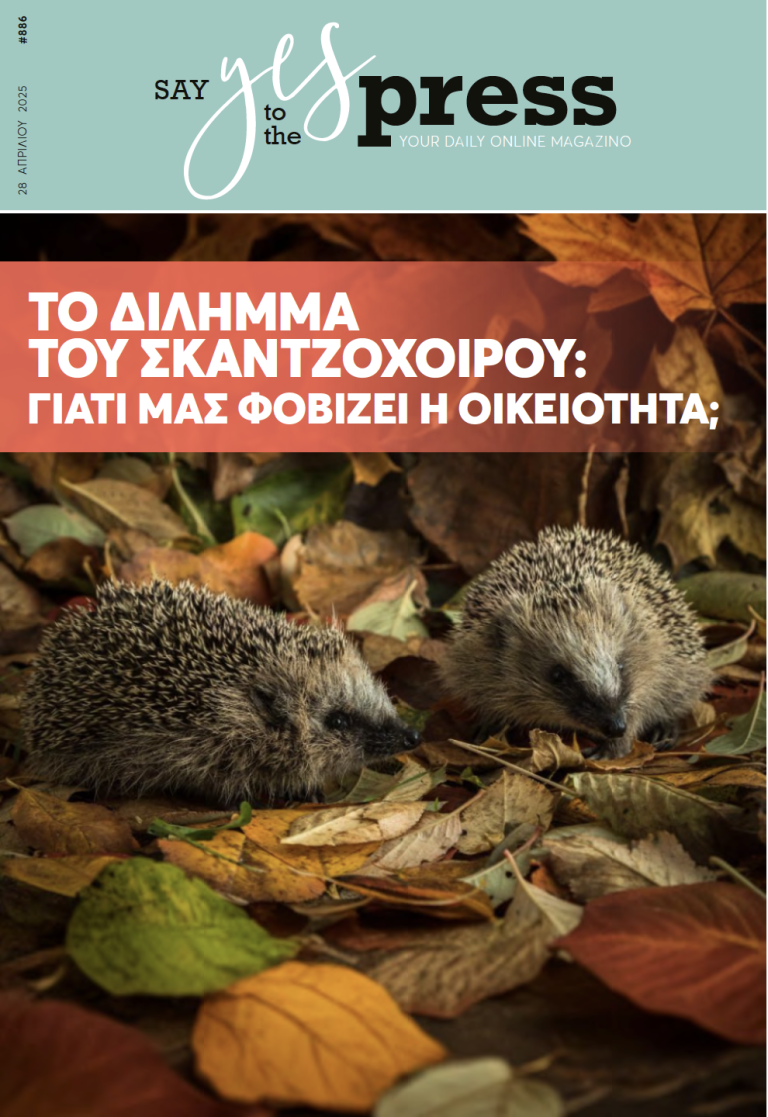 Το Δίλημμα του Σκαντζόχοιρου: Γιατί μας φοβίζει η οικειότητα;