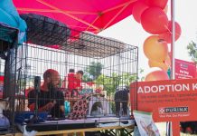 Εκατοντάδες επισκέπτες στην Ημέρα Υιοθεσίας και Φιλοξενίας της Purina® στη Θεσσαλονίκη
