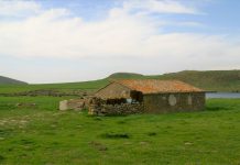 MedINA: ένα βαθιά ανθρώπινο κάλεσμα επανασύνδεσης, σε έναν κόσμο που αποσπάται εύκολα…