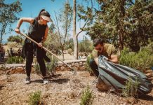 Η δράση «Η Ενέργειά σου, για τη Φροντίδα του Υμηττού» συνεχίζεται με τη στήριξη της nrg