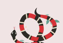 Γιώργος Γιαντάς – Θερκό