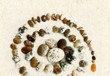 «ανίΝ» της Όλγας Πατσούρα Λένη