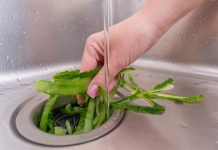 Πάγος στον… σκουπιδοφάγο!