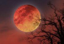 Το φεγγάρι βάφεται κόκκινο: Τι σημαίνει το Blood Moon του Σεπτεμβρίου 2025 και γιατί αξίζει να το δεις