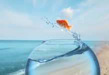 Το αντίθετο της ελπίδας δεν είναι η απελπισία. Είναι η αδιαφορία!