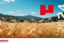 Η Διαμαντής Μασούτης Α.Ε. δημοσιεύει τον πρώτο Ετήσιο Απολογισμό Βιώσιμης Ανάπτυξης για το 2024