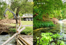 Dam Removal Day 2025: Η Ευρώπη ανοίγει το δρόμο για την απελευθέρωση των ποταμών