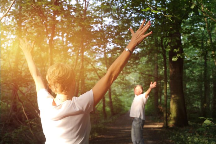 Forest,Bathing,(shinrin,Yoku),,Nature,Therapy