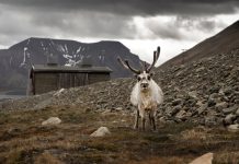 Η πόλη που… απαγορεύει να πεθάνεις: Όταν η πραγματικότητα ξεπερνά τη φαντασία