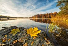 Η φύση ως ανάμνηση – Θα γνωρίζουμε στο μέλλον τι σημαίνει φθινόπωρο;