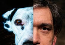 Συναρπαστικές πρεμιέρες στις μικρές σκηνές του Θεάτρου του Νέου Κόσμου!