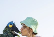 «Κόντρα στον άνεμο: η ιπτάμενη περιπέτεια της Τίρα» — Hippo Theatre Group