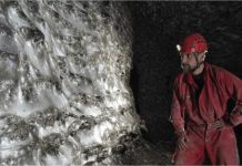 Το μεγαλύτερο «συγκρότημα» ιστών στον κόσμο βρίσκεται… στα σύνορα Ελλάδας–Αλβανίας;