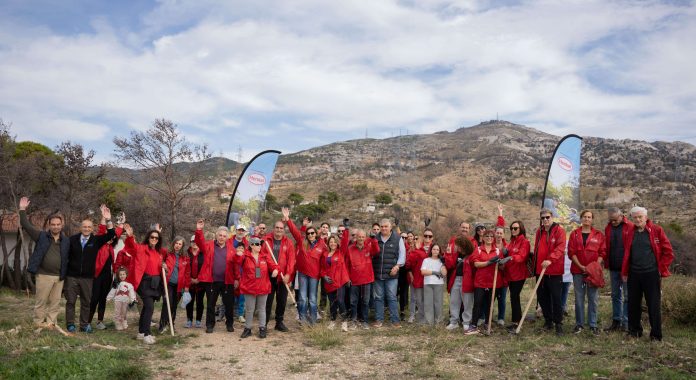 Henkel Hellas Reforestation_Central Photo