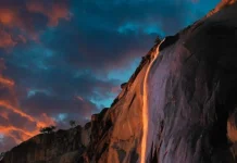 Καταρράκτες φωτιάς: Τα μικροφύκη και το μαγικό φαινόμενο!