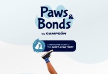 Paws & Bonds by Campeón: νέα πρωτοβουλία για την υιοθεσία αδέσποτων ζώων