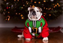 National Ugly Christmas Sweater Day