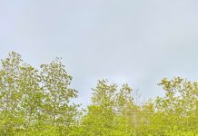 Microbiome Travel: Ταξίδια που «αναζωογονούν» το μικροβίωμα