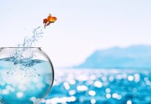 Αν διαλέξεις ένα μόνο πράγμα φέτος, ας είναι το Θάρρος…