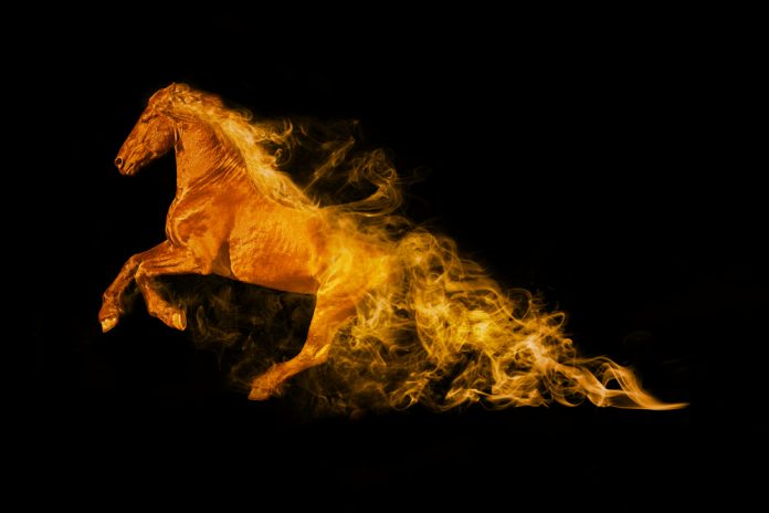 Wild,Horse,Running,In,A,Black,Background,Wildlife