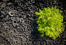 Θα καταφέρει η Microsoft να πετύχει αρνητικές εκπομπές άνθρακα έως το 2030;