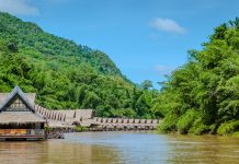 Πλωτά δάση: Τα μικρά θαύματα της φύσης