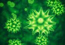 Κύτταρα-Ζόμπι: Η εποχή των Σενολυτικών στη μάχη κατά του καρκίνου