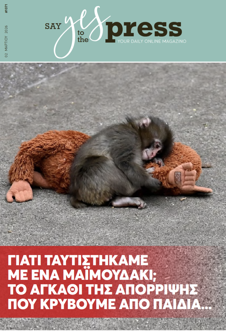 Γιατί ταυτιστήκαμε με ένα μαϊμουδάκι; Το αγκάθι της απόρριψης που κρύβουμε από παιδιά…