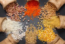 Παγκόσμια Ημέρα Οσπρίων: Η «εκδίκηση» της ταπεινής φακής είναι το νέο status symbol!