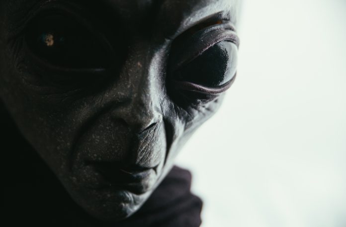 Alien,Creature,Has,A,Message,For,Humans.,Grey,Kind,Humanoid