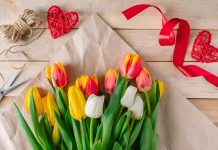 Η Επανάσταση του «Μαζί»: Όταν ο έρωτας γίνεται καύσιμο για την κορυφή