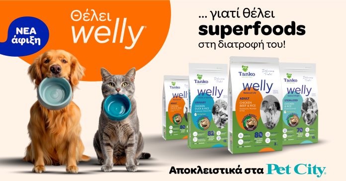 2026.03.26_DT_PET CITY_Welly photo