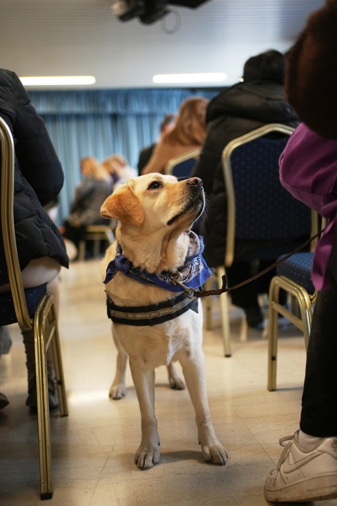 FAROS TYFLON ELLADOS - PROBOLI PROSBASIMIS TAINIAS (4)