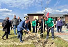 Μια «πράσινη» πρωτοβουλία από τη ΜΑΚΒΕΛ – EURIMAC: Δενδροφύτευση στη Δοϊράνη για το περιβάλλον