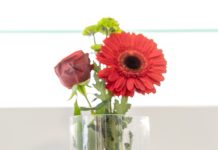 Safilo Press Day: Παρουσίαση της νέας συλλογής SS26 σε ένα ολοκληρωμένο fashion experience