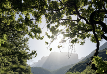 Παγκόσμια Ημέρα Νερού: Το φυσικό μεταλλικό νερό ΒΙΚΟΣ μας υπενθυμίζει τη σημασία του πιο πολύτιμου αγαθού