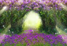 Δεν γίνεται να θες να ζήσεις το παραμύθι αλλά να φοβάσαι να πας στο δάσος…