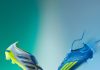 Η adidas αποκαλύπτει το Ice Cold Precision Pack με τα νέα Predator και F50