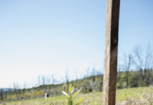 Φυσικό μεταλλικό νερό ΒΙΚΟΣ: Δίνοντας ζωή εκεί που η φύση το έχει ανάγκη