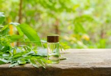 Neem Oil: Το φυσικό «πολυεργαλείο» για δέρμα, μαλλιά και κήπο!