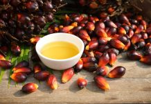 3+1 πράγματα που πρέπει να ξέρεις για το φοινικέλαιο