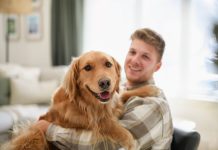 Όταν οι γενετικές ρίζες μας συναντούν το Golden Retriever!