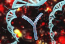 Τι συμβαίνει με το χρωμόσωμα Υ;