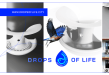 Drops of Life: μια απλή λύση για τη διάσωση των πουλιών στην πόλη