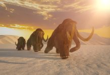 De-extinction: η επιστήμη που επιχειρεί να αλλάξει την έννοια της εξαφάνισης